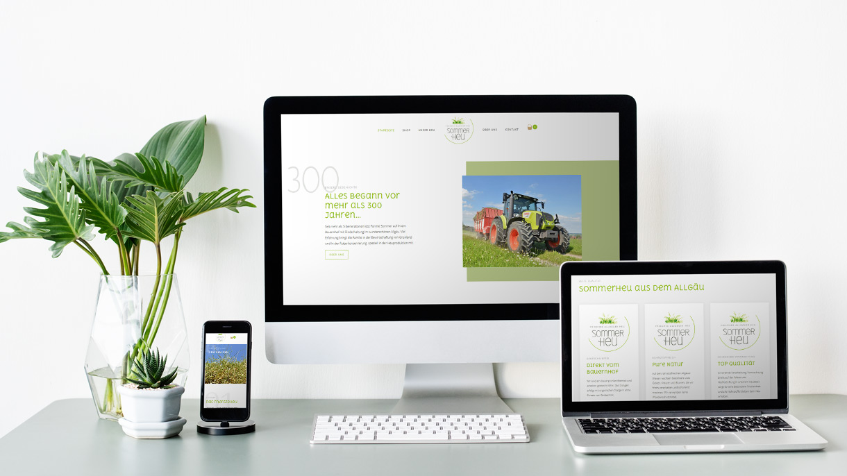 Website mit onlineshop sommerheu
